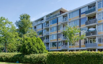 Maarten Lut. 249