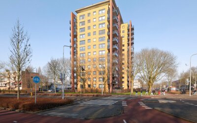 Fluweelboom. 123