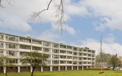 Populierenl. 219