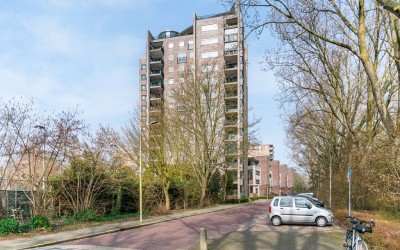 Wimbledonpark 187