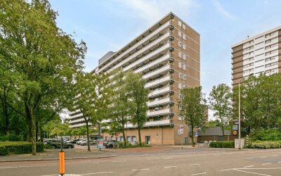 Groenhof 79