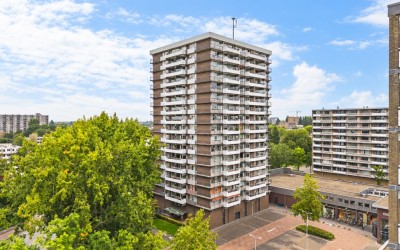 Groenhof 371