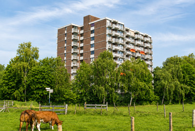 Kringloop 355