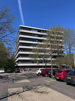 Marne 28