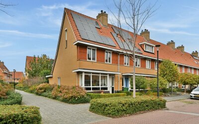 Specht 18