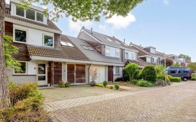 Chirurgijn 19