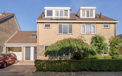 De Vriendschap 41