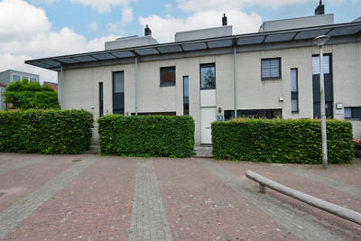 Zilvermeeuw 3
