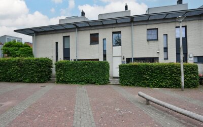 Zilvermeeuw 3