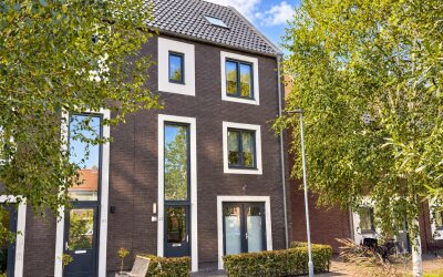 Boterbloem 43