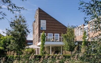 Goudplevier 7