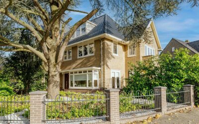 Johan de Wittstraat 47