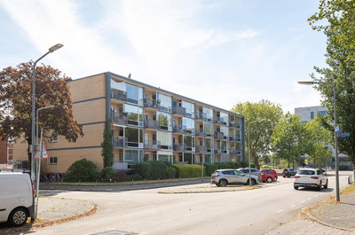 Neuweg 519