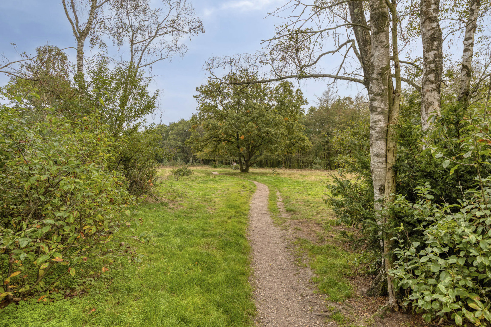 Appartement te koop: Van Brakellaan 97, Hilversum