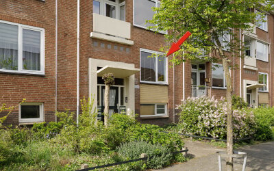 Dassenlaan 50