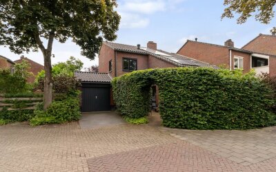 Goudwespmeent 55