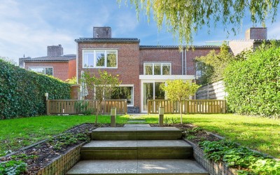 Goudwespmeent 79