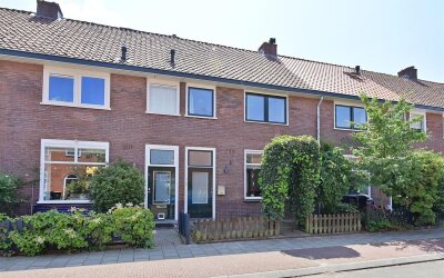 Zilvermeeuw. 10