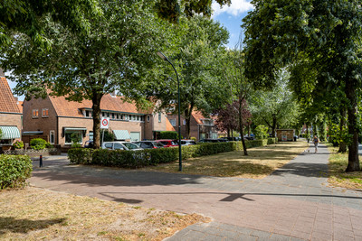 Jan van der. 265