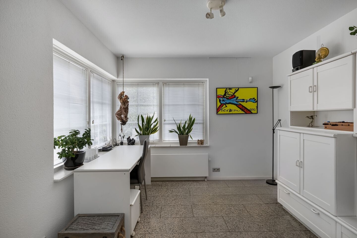 Vrijstaande woning te koop: Van Driellaan 11, Huizen
