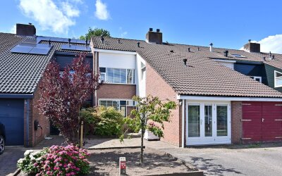 Antilope 37