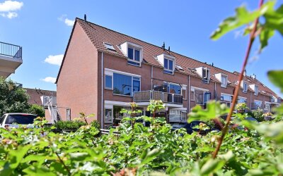 Zuidwal 19