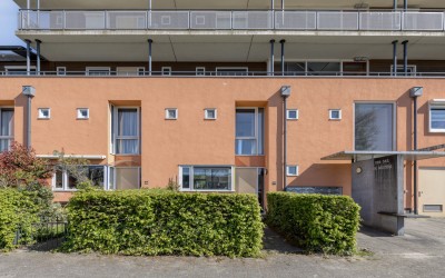 Louis Davidsstraat 250
