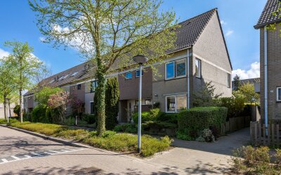 Paukenstraat 41