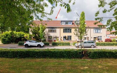 Gipskruidweg 242