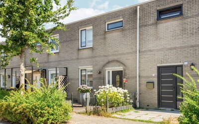 Wijnruitstraat 10