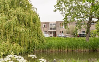 Tuinkersstraat 19