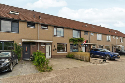 Muurmosstra. 12