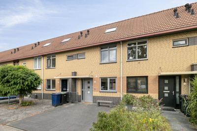 Johannes Ve. 115