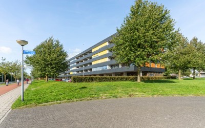 Grootzeil 302
