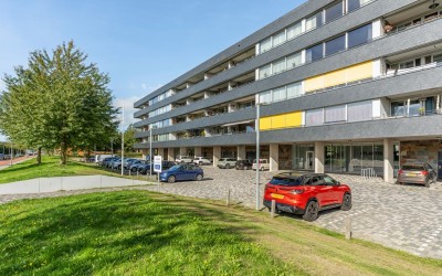 Grootzeil 302
