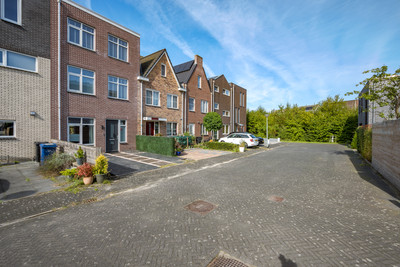 Latijnzeil 50