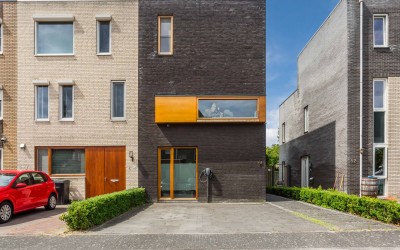 Latijnzeil 54