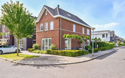 Kroonknoop 1