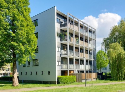 Gleditsiast. 65