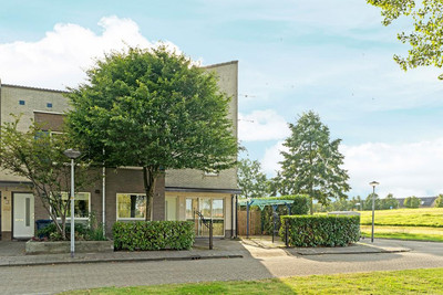 Druivenstra. 17