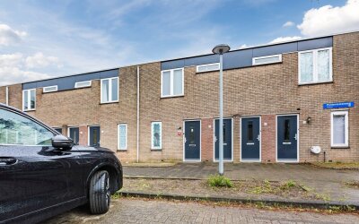 Poldermolen. 213