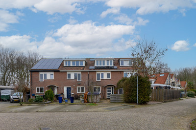 Stellingmol. 81