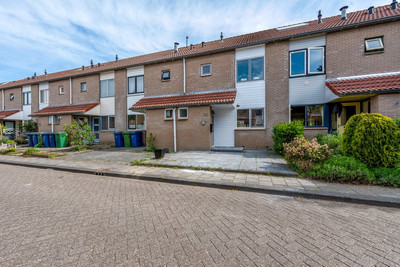 Strijkmolen. 38