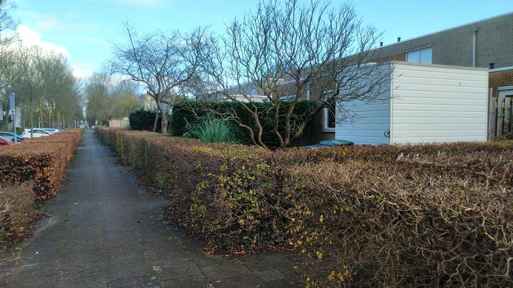 Tussenwoning te huur: De Klenckestraat 10, Almere