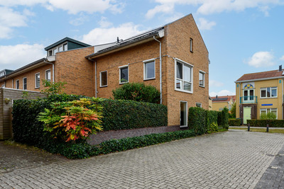 Pietje Plui. 18