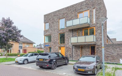 Daan Hoekse. 7