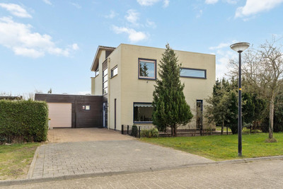Oranjegeels. 14