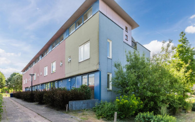 Pigmenthof 25
