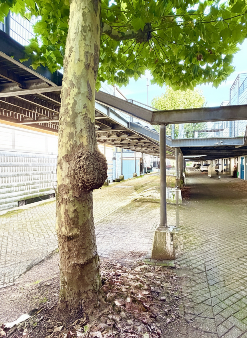 Tussenwoning te koop: Arubapier 35, Almere