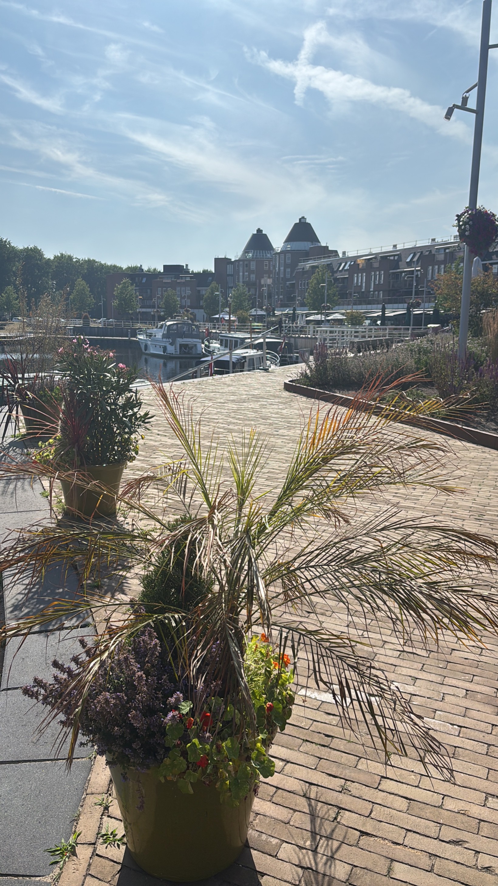 Tussenwoning te koop: Grasmeent 68, Almere